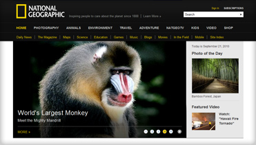 短信轰炸机网页版在线